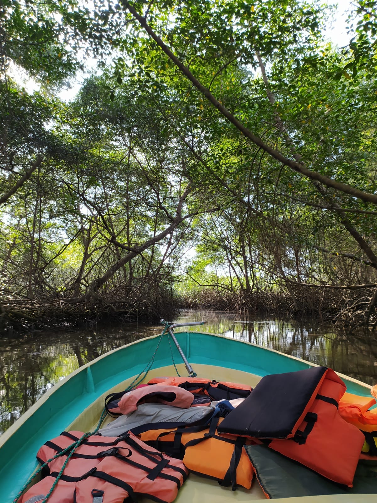 WhatsApp Image 2022 06 27 at 19.56.11